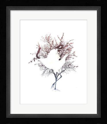 Framed Red Crowned Crane Pair, Part I Print