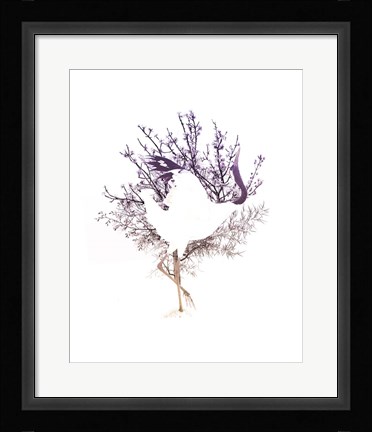 Framed Red Crowned Crane Pair, Part II Print