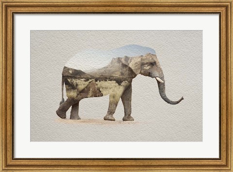 Framed African Elephant Erongo Namibia Print