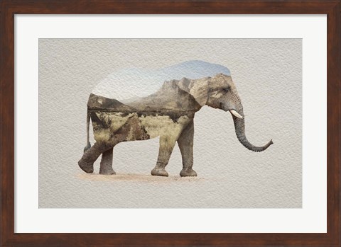 Framed African Elephant Erongo Namibia Print