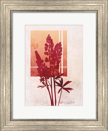 Framed Ombre Lupine Flowers Print