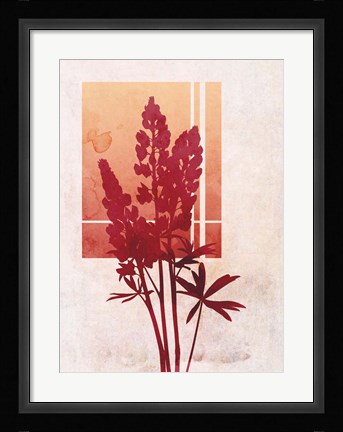 Framed Ombre Lupine Flowers Print