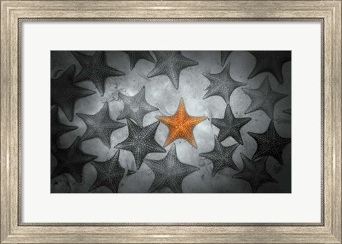 Framed Pop of Color Orange Starfish Print