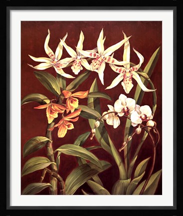 Framed Orchid Trio I Print