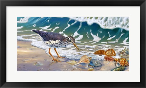 Framed Beach Bums Print