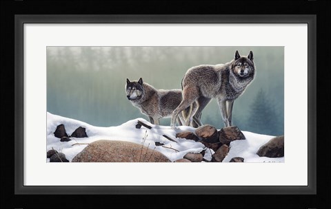 Framed Out of the Forest Print