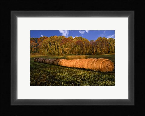 Framed Hay Bales Print