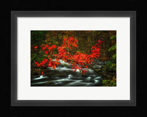 Framed Fall in Smokies Print