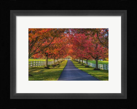 Framed Lane in Fall Print