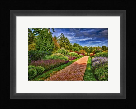 Framed Yellow Brick Road Print