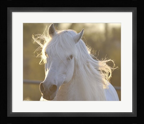 Framed Angel Baby Print