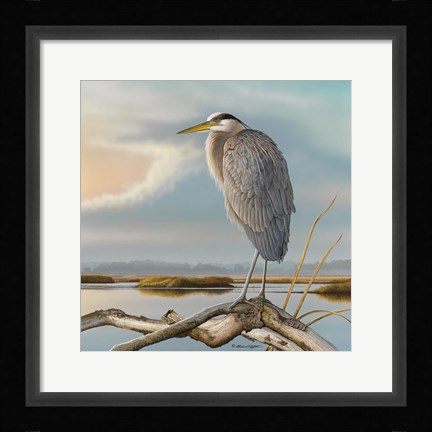 Framed Marsh Watch - Great Blue Heron Print