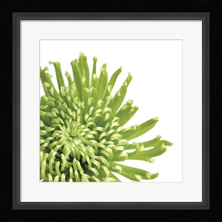 Framed Green Bloom 3 (detail) Print