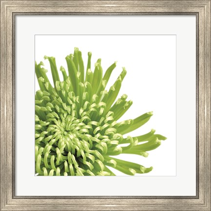 Framed Green Bloom 3 (detail) Print