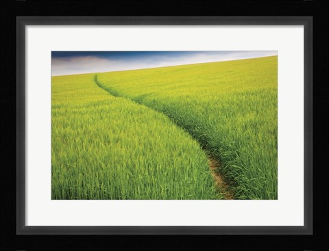 Framed Seductive Path Print