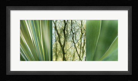 Framed Jade Gardens Print