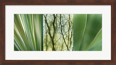 Framed Jade Gardens Print