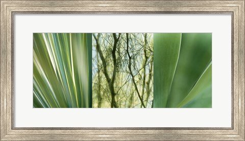 Framed Jade Gardens Print