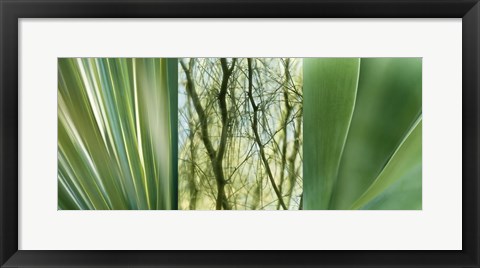 Framed Jade Gardens Print