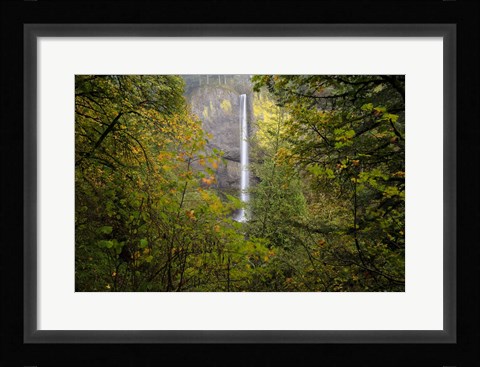 Framed Oregon Waterfall Print