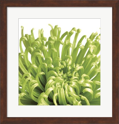 Framed Green Bloom 5 (detail) Print