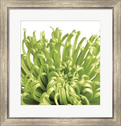 Framed Green Bloom 5 (detail) Print