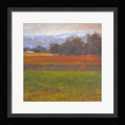 Framed Red Vineyard Near The River I Print
