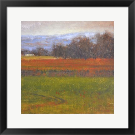 Framed Red Vineyard Near The River I Print