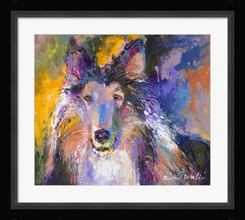 Framed Collie Print
