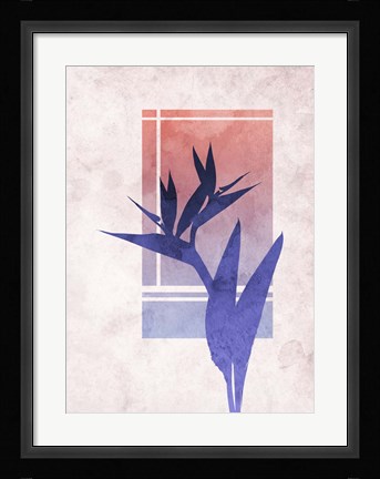 Framed Ombre Bird of Paradise Flower Print
