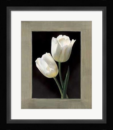 Framed Tulipani Bianchi Print