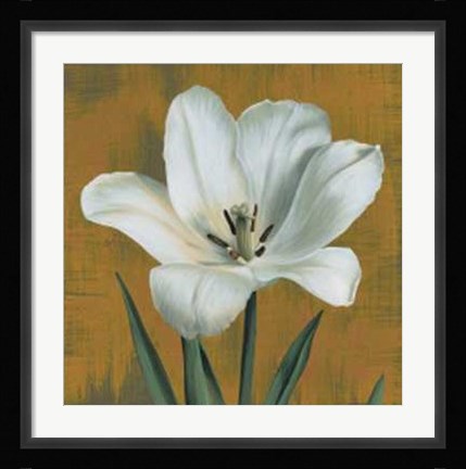 Framed Tulipano Print