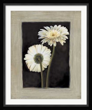 Framed Flora II Print