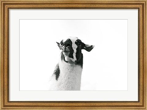 Framed Lovable Llama I Print