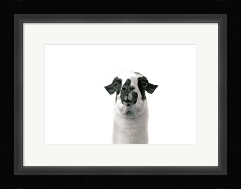 Framed Lovable Llama II Print