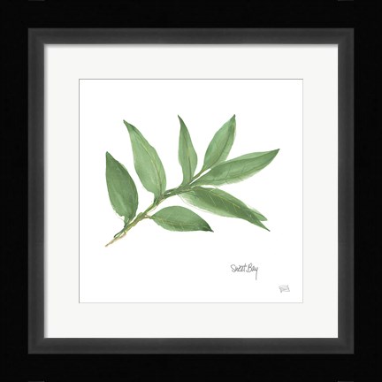 Framed Sweet Bay Print