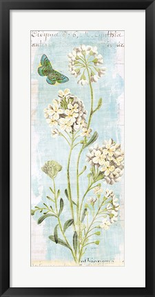 Framed Botany Blue II Print