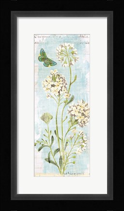 Framed Botany Blue II Print