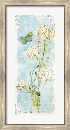 Framed Botany Blue III Print