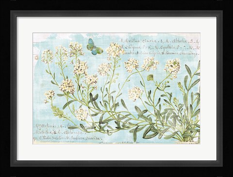 Framed Botany Blue I Print