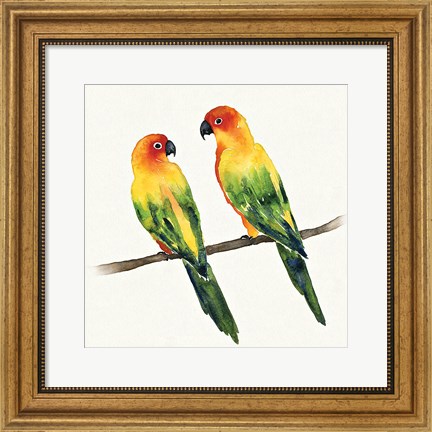 Framed Tropical Fun Bird III Print