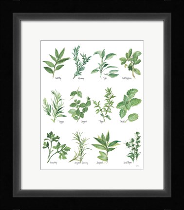 Framed Herb Chart Print