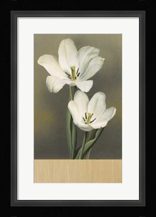 Framed Tulipani Print