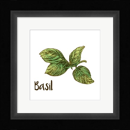 Framed Basil Print