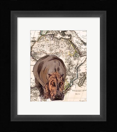 Framed African Hippo Print