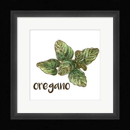 Framed Oregano Print