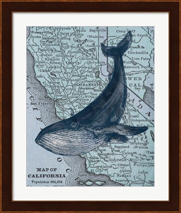Framed California&#39;s Grayback Whale Print