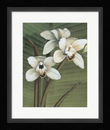 Framed Orchid with Palm I Print
