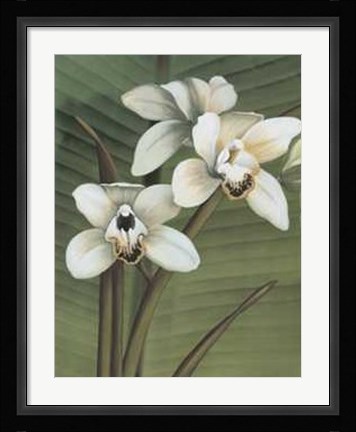 Framed Orchid with Palm I Print