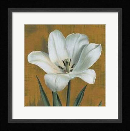 Framed Tulipano Print